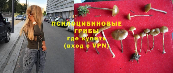 индика Алзамай