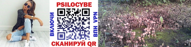 Галлюциногенные грибы мицелий  Краснозаводск 